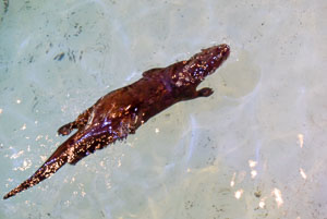 2016 Dawn Emily Trip