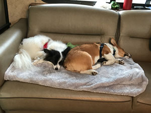 IMG_0367.jpg