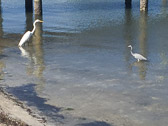 IMG_0315.jpg