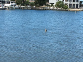 IMG_1319.jpg
