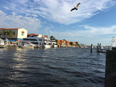 IMG_1525.jpg