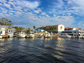 IMG_1526.jpg