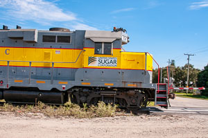 Sugar-Trains-50January-16,-2019.jpg
