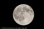 Moon Over Walkersville