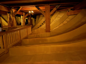 IMG_5671.jpeg