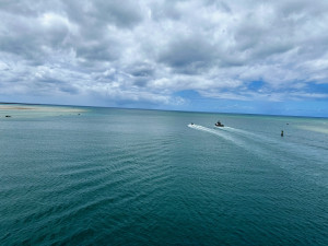IMG_2395.jpeg