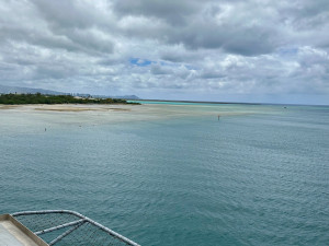 IMG_2398.jpeg
