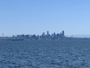IMG_4209.jpeg