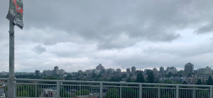 IMG_4235.jpeg