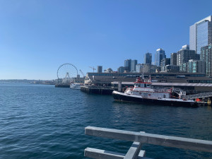 IMG_4243.jpeg