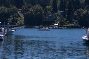 Washington State 2024