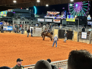 Winter - Spring 2024