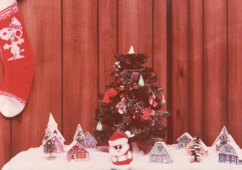 Scanned-Old-Photos-250-January-01,-2015.jpg