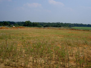 FBC-Construction-2003-7.jpg